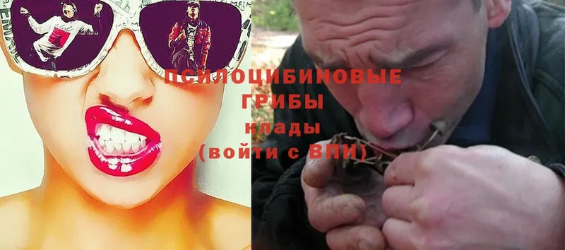 Псилоцибиновые грибы Psilocybe  закладка  Благодарный 